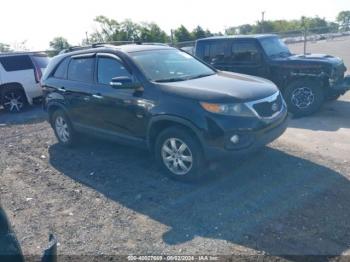  Salvage Kia Sorento