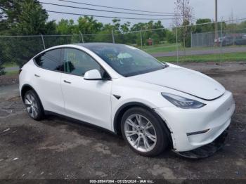  Salvage Tesla Model Y