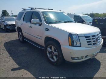  Salvage Cadillac Escalade