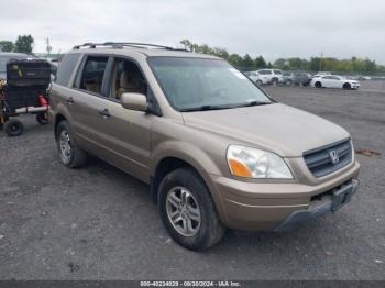  Salvage Honda Pilot