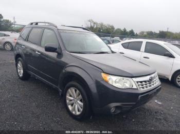  Salvage Subaru Forester