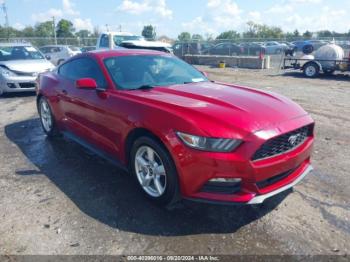  Salvage Ford Mustang