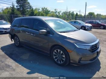  Salvage Honda Odyssey