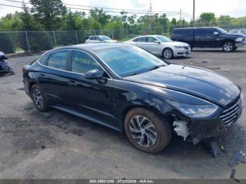  Salvage Hyundai SONATA