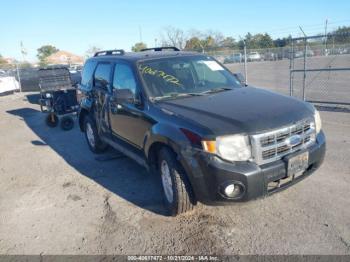  Salvage Ford Escape