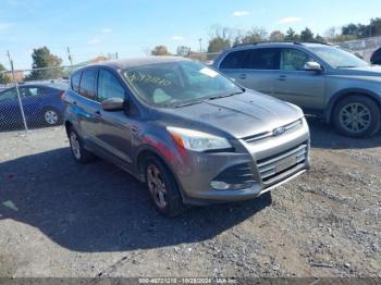  Salvage Ford Escape