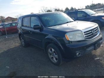  Salvage Honda Pilot