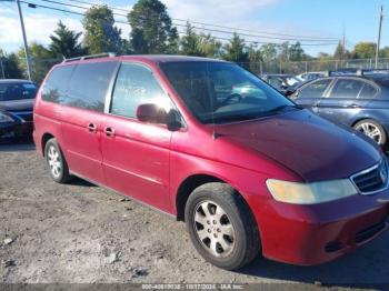  Salvage Honda Odyssey