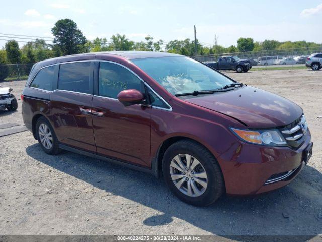  Salvage Honda Odyssey