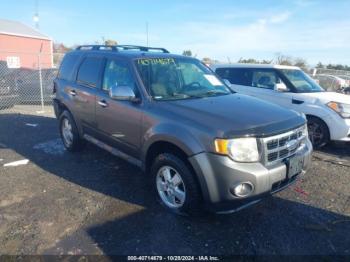  Salvage Ford Escape