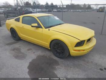  Salvage Ford Mustang