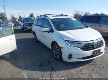  Salvage Honda Odyssey