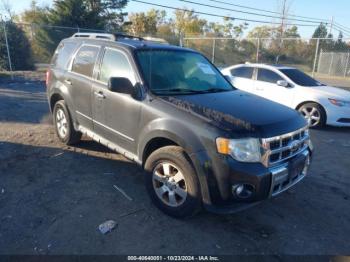  Salvage Ford Escape