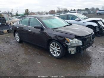  Salvage Nissan Maxima