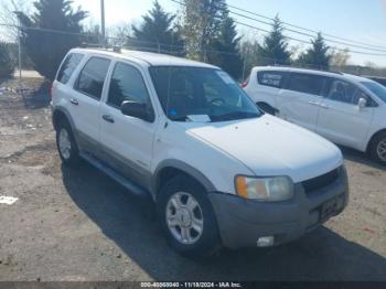  Salvage Ford Escape