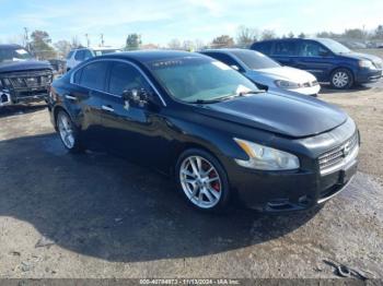  Salvage Nissan Maxima