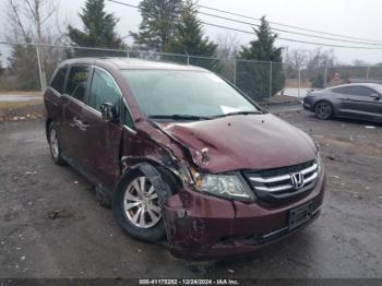  Salvage Honda Odyssey