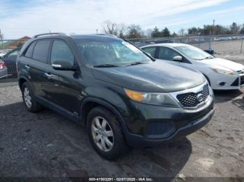  Salvage Kia Sorento