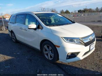  Salvage Honda Odyssey