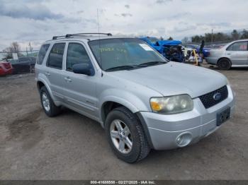  Salvage Ford Escape