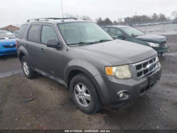  Salvage Ford Escape