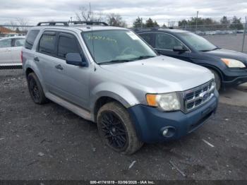  Salvage Ford Escape