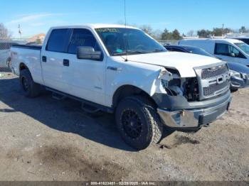  Salvage Ford F-150