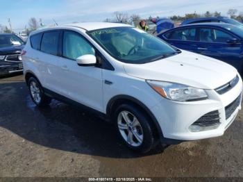  Salvage Ford Escape