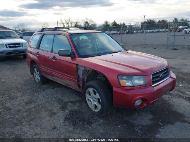  Salvage Subaru Forester