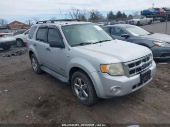  Salvage Ford Escape