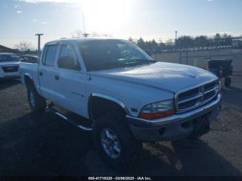  Salvage Dodge Dakota