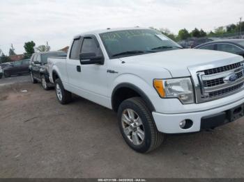  Salvage Ford F-150