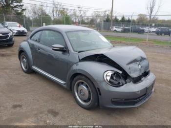  Salvage Volkswagen Beetle