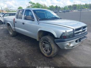  Salvage Dodge Dakota