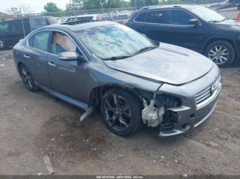  Salvage Nissan Maxima