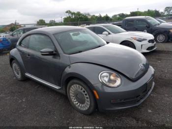  Salvage Volkswagen Beetle