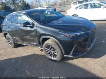 Salvage Lexus NX