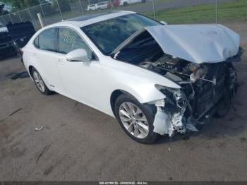  Salvage Lexus Es