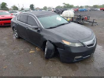  Salvage Acura TL