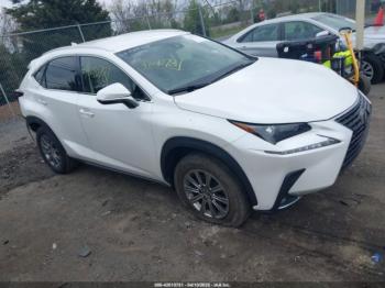  Salvage Lexus NX