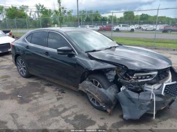  Salvage Acura TLX