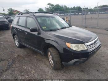  Salvage Subaru Forester