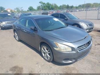  Salvage Nissan Maxima