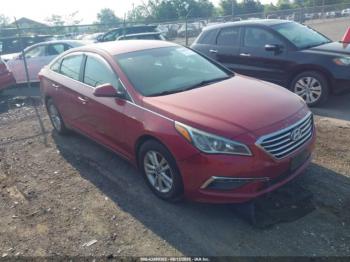  Salvage Hyundai SONATA