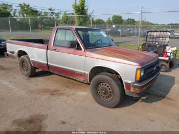  Salvage Chevrolet S Truck