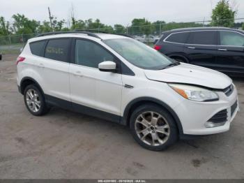  Salvage Ford Escape
