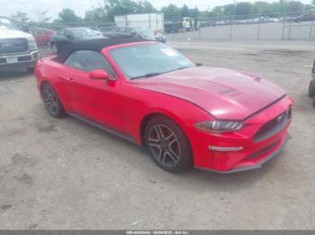  Salvage Ford Mustang