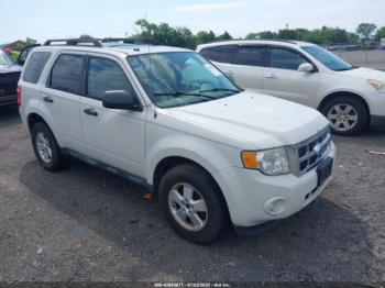  Salvage Ford Escape