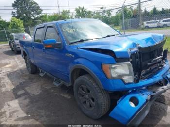  Salvage Ford F-150