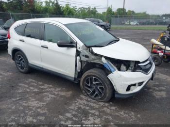  Salvage Honda CR-V